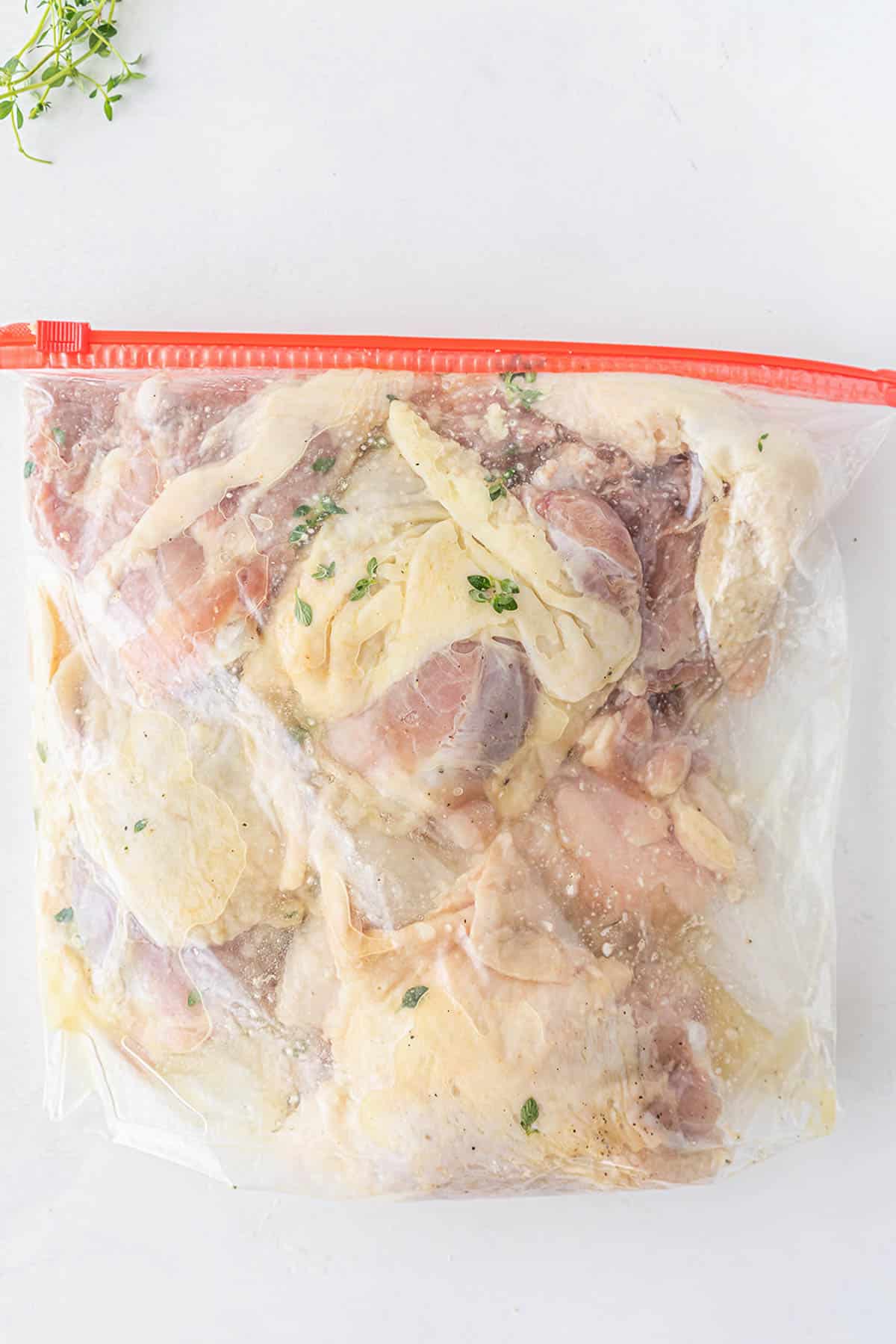 gallon size plastic zip closure bag with raw chicken thighs marinating.