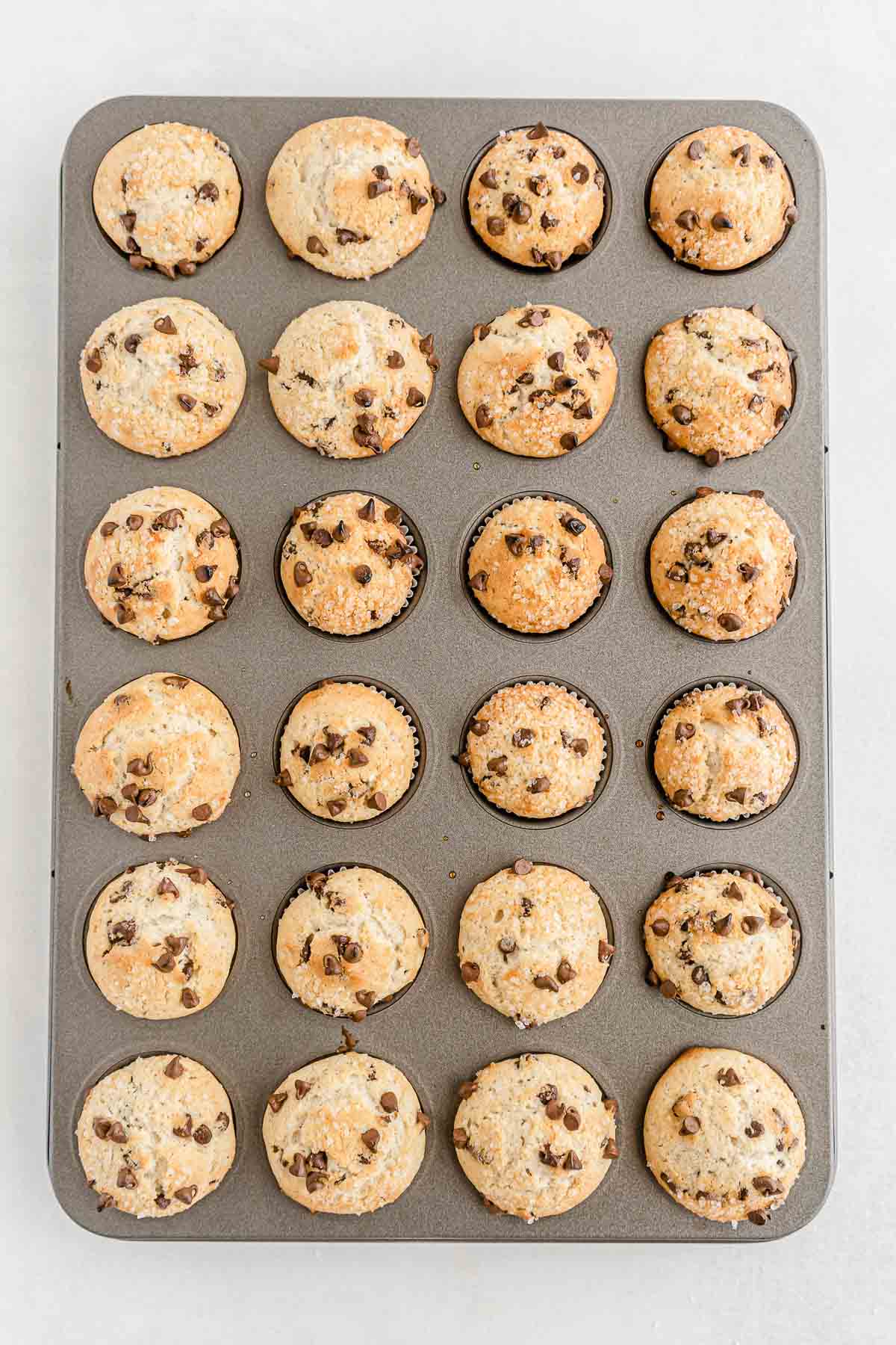 24 Chocolate Chip Mini Muffins in the mini muffin pan.
