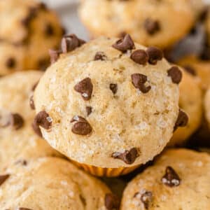 closeup of a mini chocolate chip muffin.