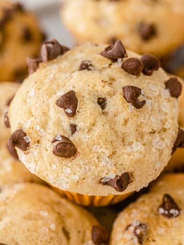 closeup of a mini chocolate chip muffin.