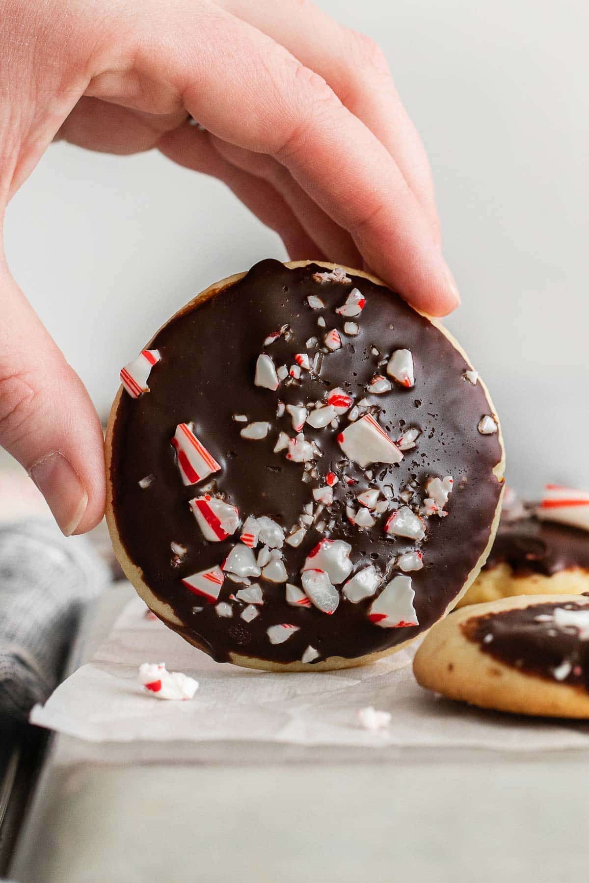 woman's fingers holding a chocolate dipped cookie that's topped with crushed peppermint candy.