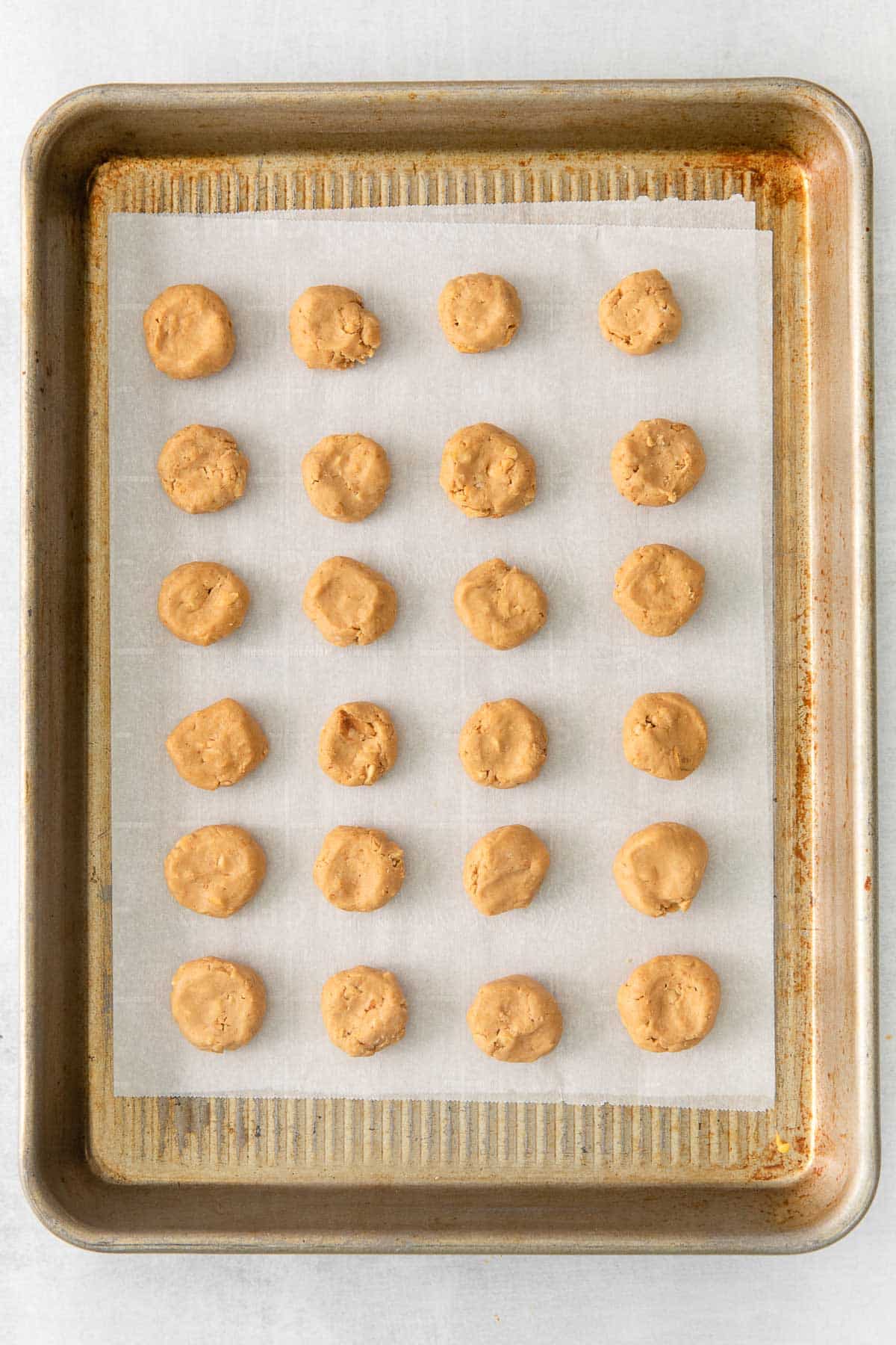 24 peanut butter dough discs lined on a parchment lined baking sheet.