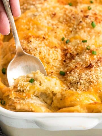 closeup of a spoonful of scalloped potatoes in a white casserole dish.