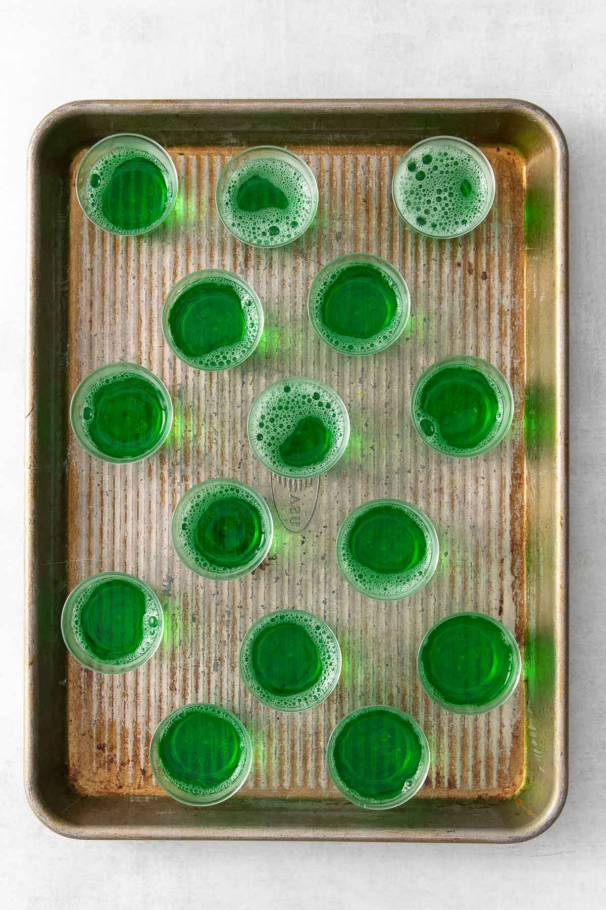 fifteen plastic shot cups with green jello shots.