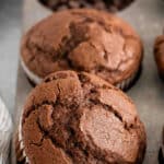 closeup of two chocolate muffins in a muffin tin.