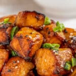 closeup of glazed salmon bites