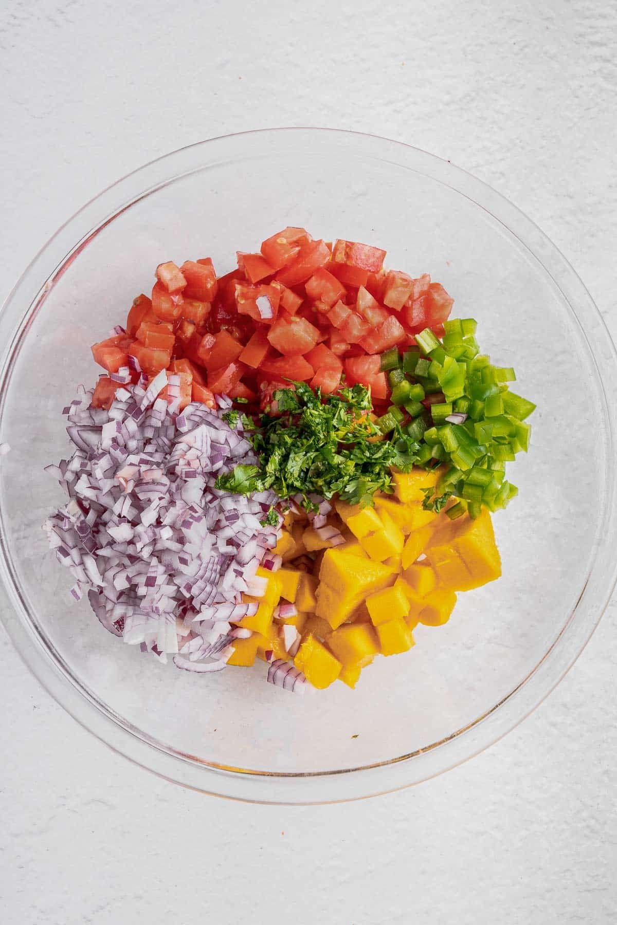 Glass bowl of ingredients for Mango Salsa - Mangos, tomatoes, red onion, jalapeño, cilantro, limes and salt.