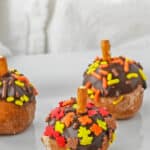 three acorn donut holes on a plate with fall sprinkles and pretzel stick as a stem.