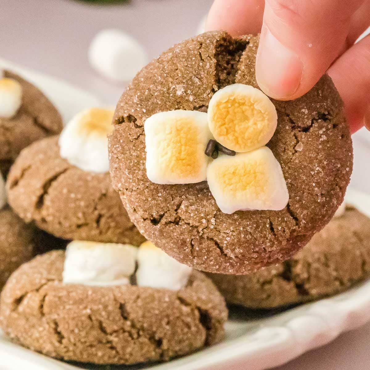 A person holding a hot chocolate cookie with marshmallows on it.