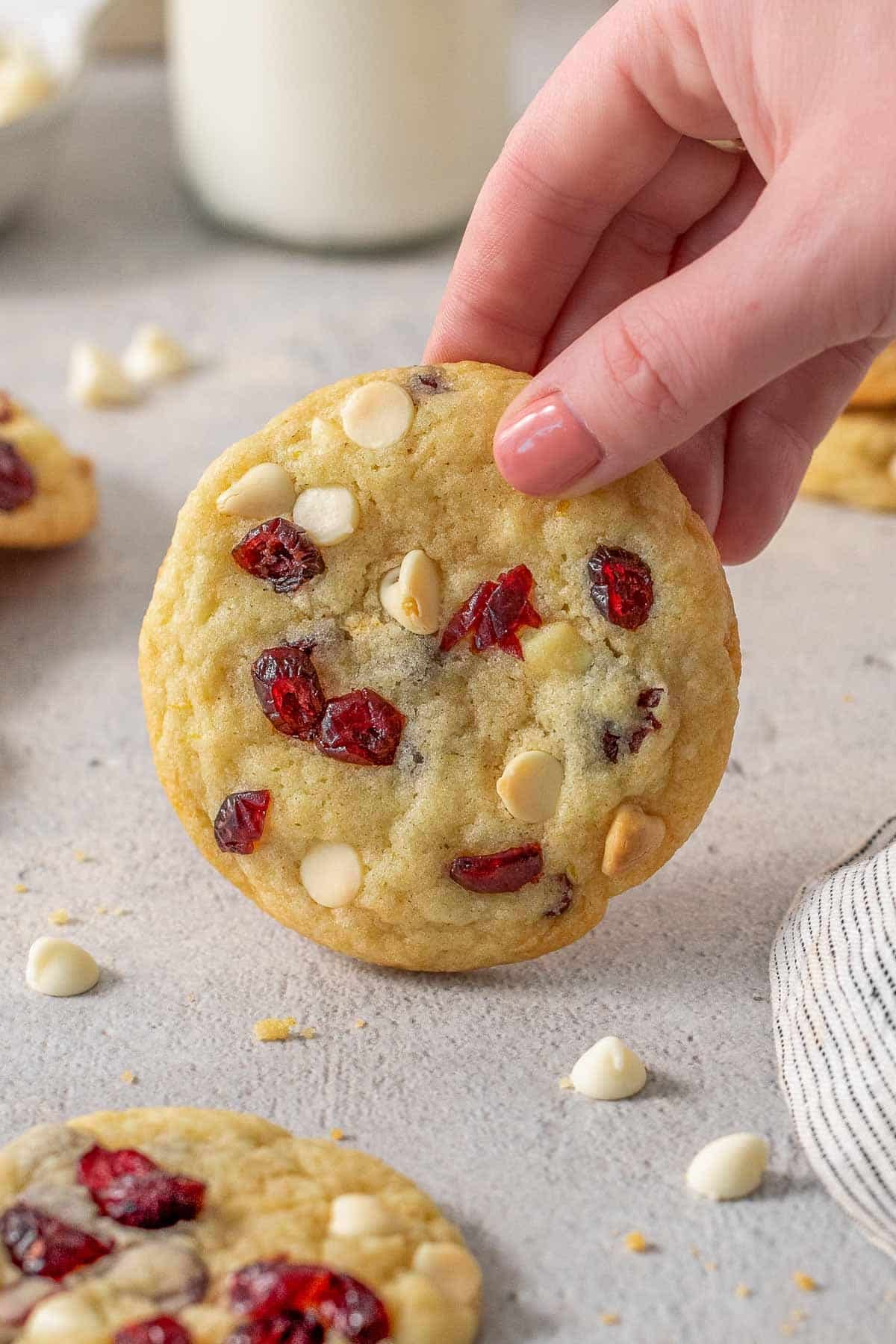 A womans hand holding a white chocolate cranberry cookie upright.