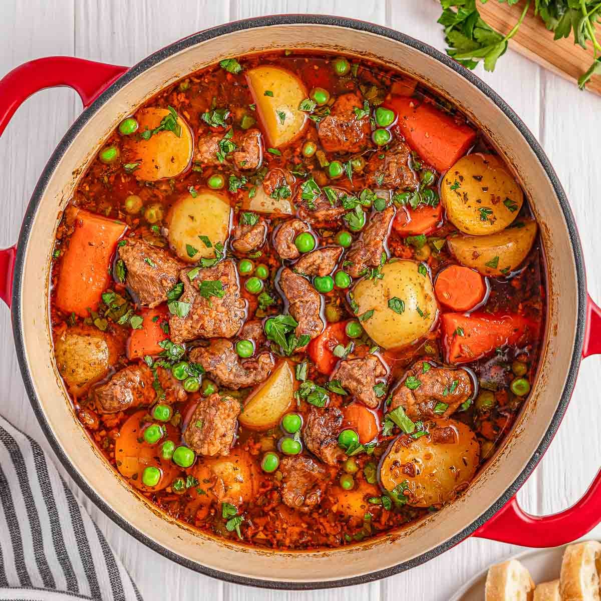 A red pot of ready to serve lamb stew garnished with herbs on a wooden table.