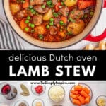 A red pot of ready to serve lamb stew garnished with herbs on a wooden table.
