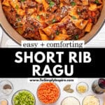 A pot of short rib ragu with pappardelle pasta, topped with herbs. Below, various ingredients including short ribs, tomato sauce, and vegetables are displayed in separate bowls.