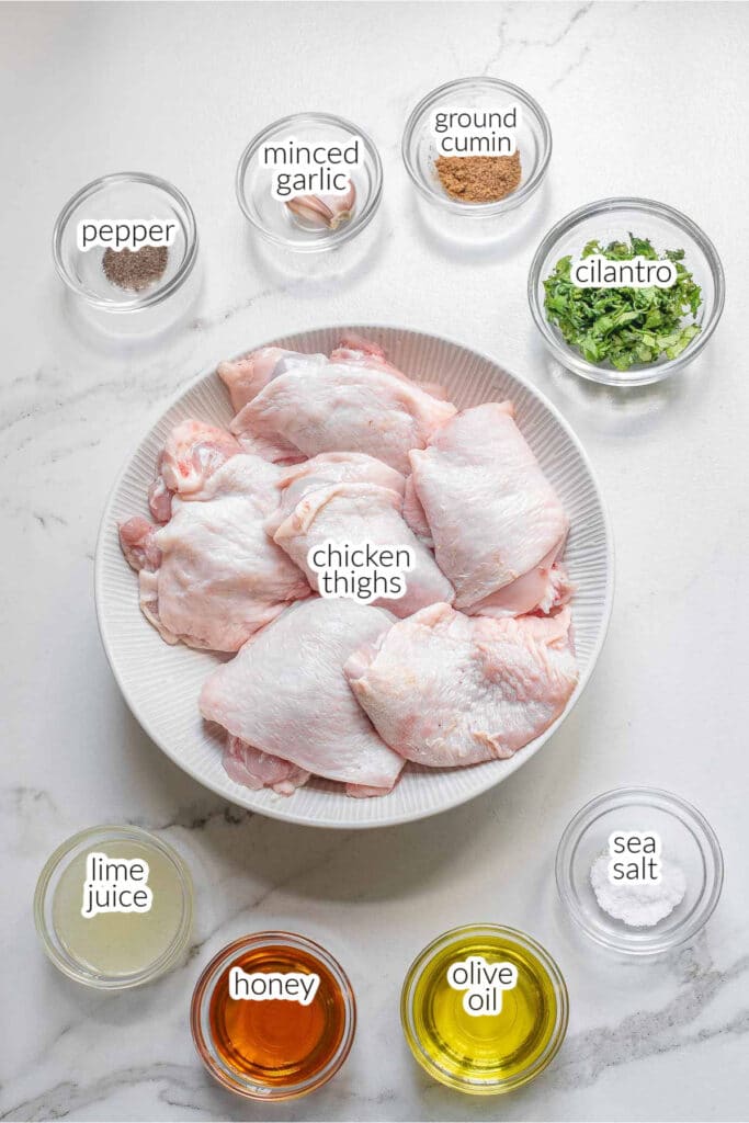 Easy Cilantro Lime Chicken Recipe - To Simply Inspire