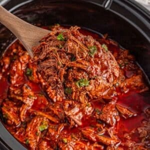 A wooden spoon lifts shredded birria in a thick, red sauce from a slow cooker, garnished with chopped herbs.