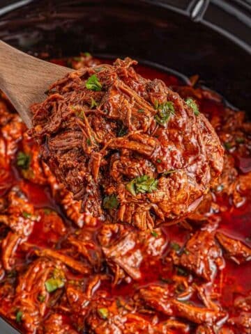 A wooden spoon lifts shredded birria in a thick, red sauce from a slow cooker, garnished with chopped herbs.
