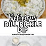 A bowl of dill pickle dip topped with chopped pickles, surrounded by potato chips; below are the ingredients: cream cheese, sour cream, chopped pickles, seasoning, and pickle juice.