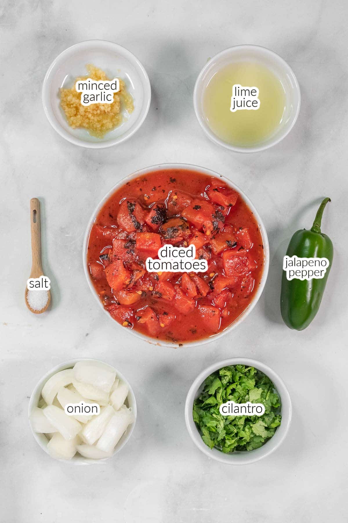 Overhead view of ingredients for a salsa recipe including diced tomatoes, minced garlic, lime juice, a whole jalapeño pepper, chopped onion, cilantro, and salt.