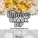 A bowl of crack dip topped with shredded cheese, bacon bits, and sliced green onions, surrounded by potato chips.