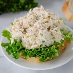 Open-faced chicken salad sandwich on a slice of bread with green leaf lettuce, served on a white plate.